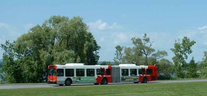 OC Transpo New Flyer D60LF articulated bus 6316 on the busway
